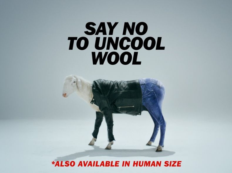 Say no to uncool wool
